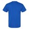 Hanes Men's Essential-T Cotton T-Shirt - 5280, Short Sleeve Arts & Craft Blank Tee